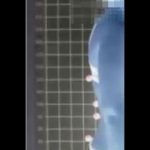 مارکر برجسته پاسچر 4