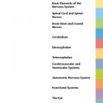 Color Atlas and Textbook of Human Anatomy – Volume 3 Nervous System and sensory organs 2003_1