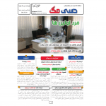DSI MAG